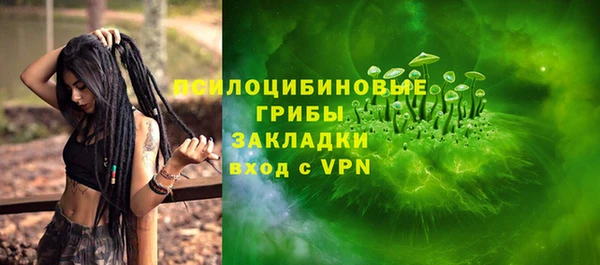 гидропоника Лагань