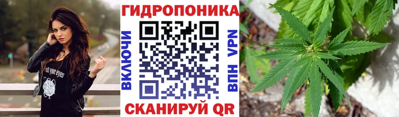 МАРИХУАНА ГИДРОПОН Ясный